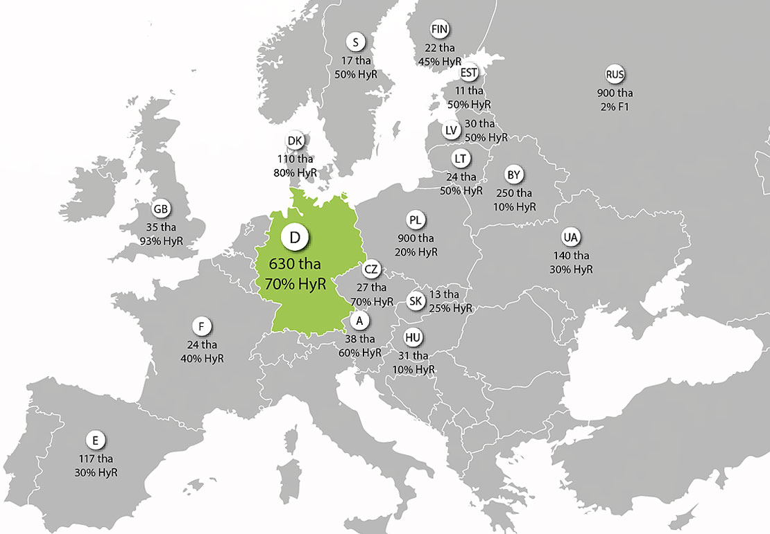 Graphic_Key Markets Graphic_Key Markets