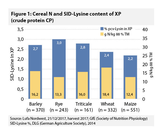 New characterisation of rye nutritional value