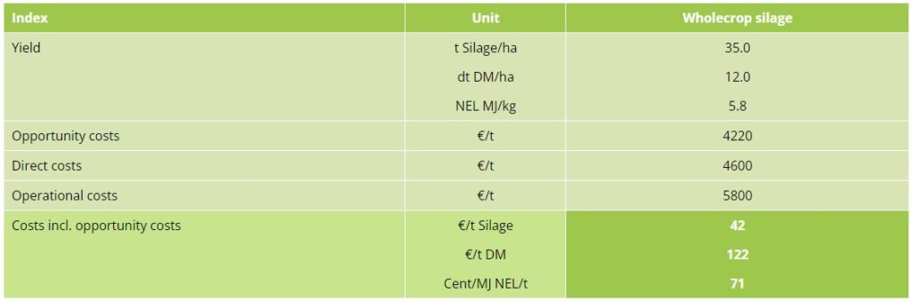 Costs of Silage Use (Hybrid Rye)