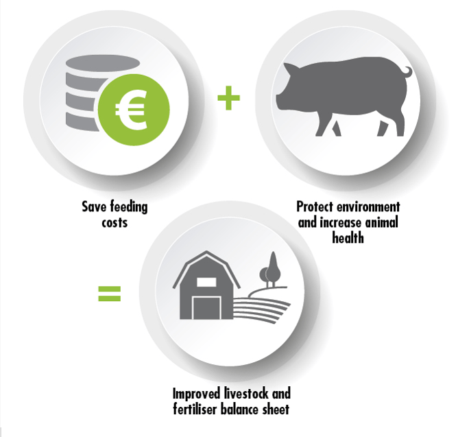 Benefits for Animal Feed