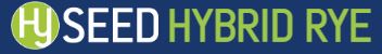 Hybrid Rye