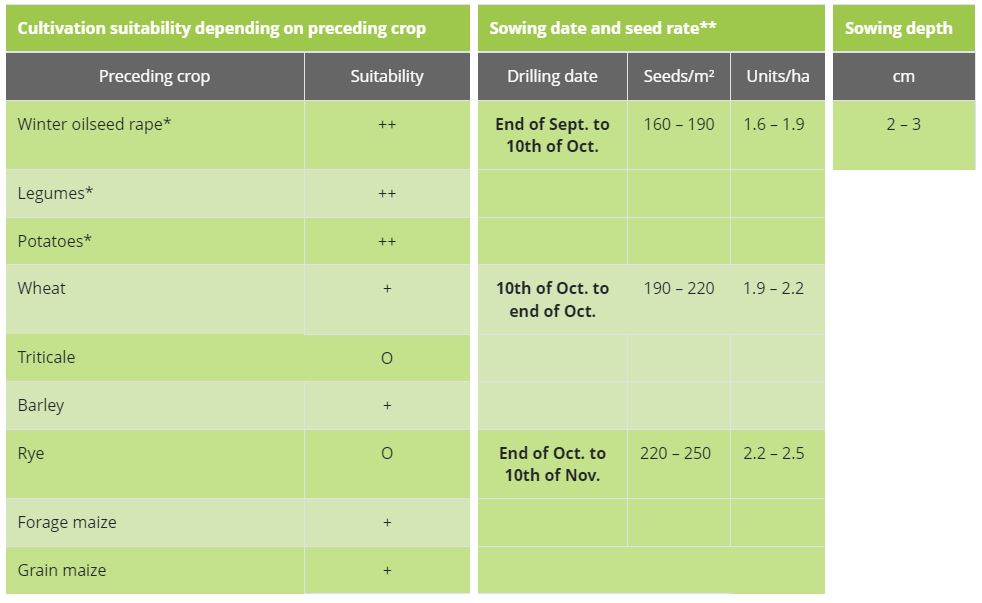 Hybrid Rye Agronomy Guide