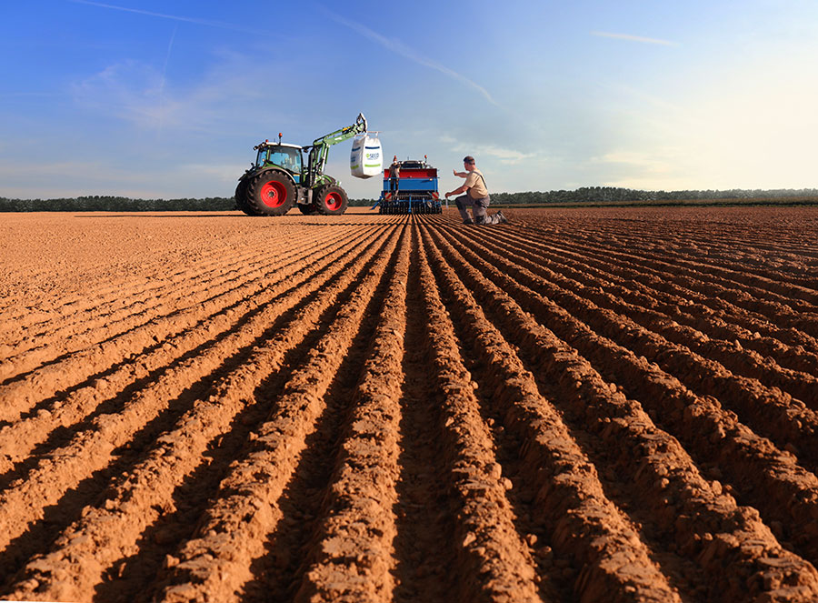 red field