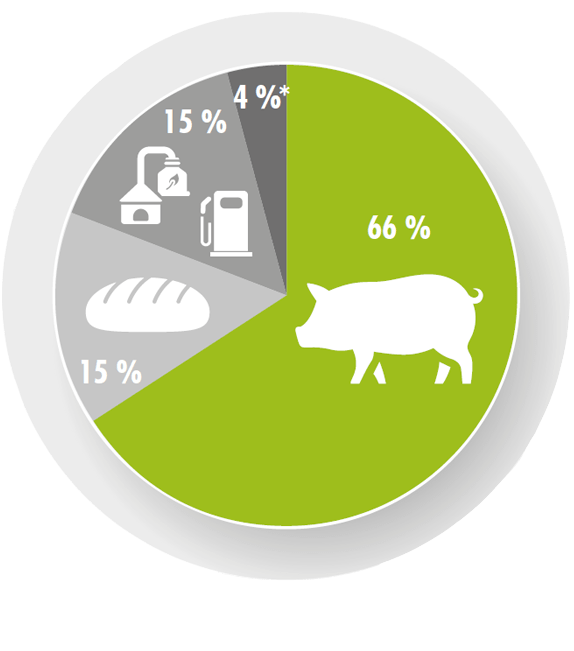 Use of Rye