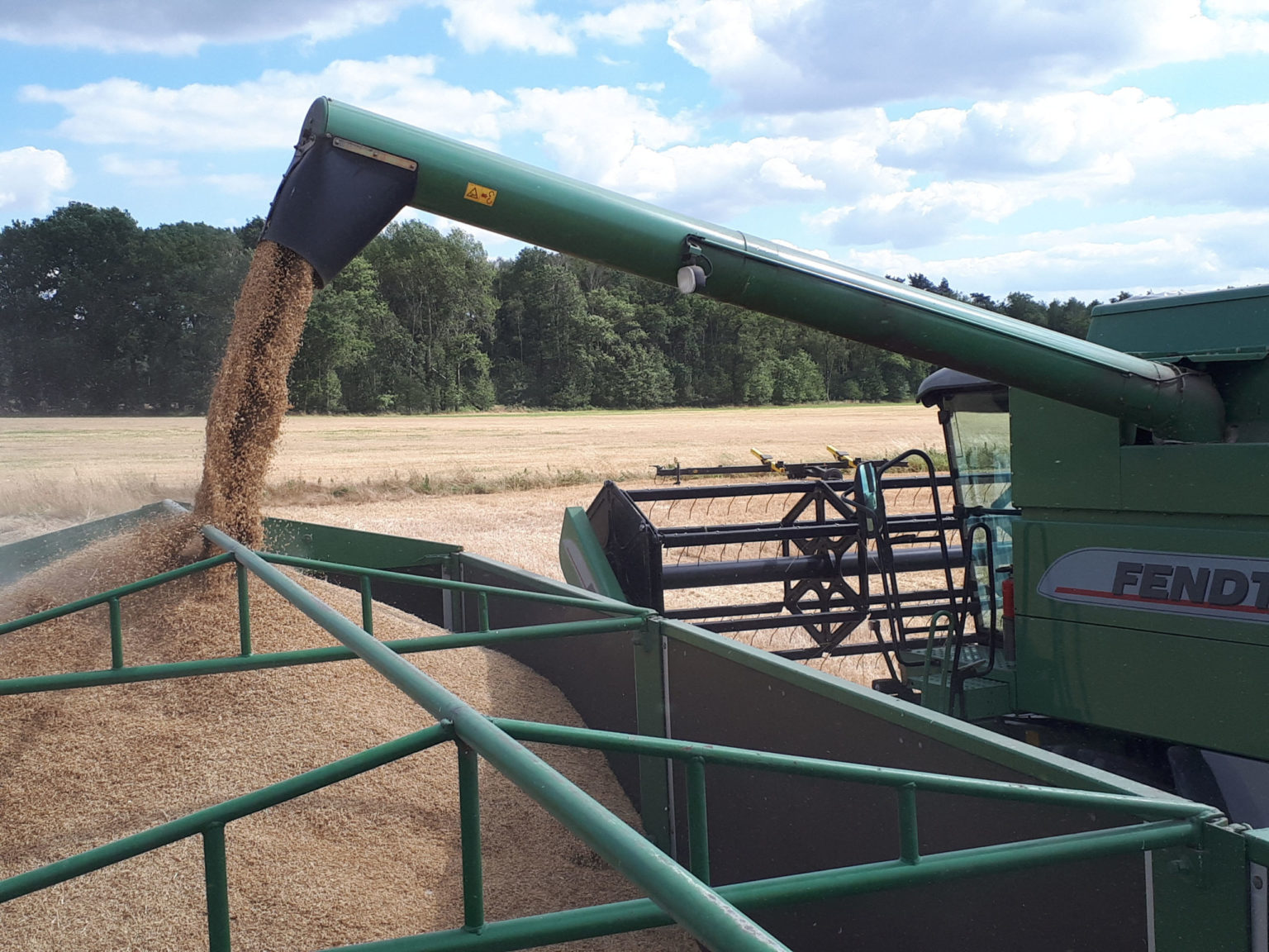 Harvest Time