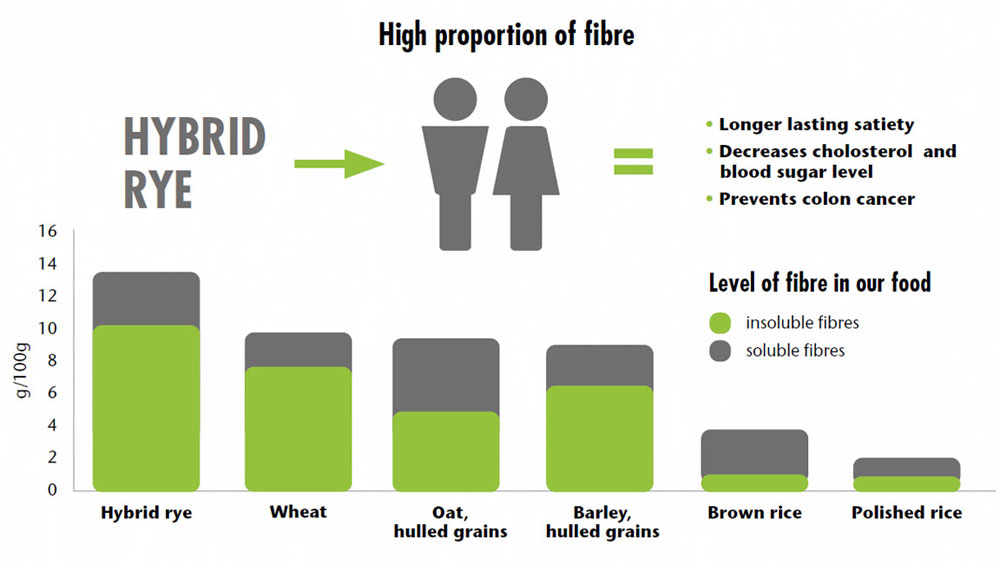 Benefits of Growing Rye