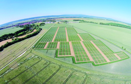 ZUCHTWERT experimental hybrids plots