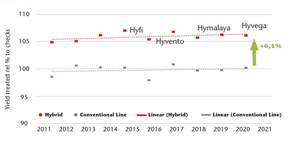 Yield advantage of hybrid wheat is ensured by ongoing breeding progress