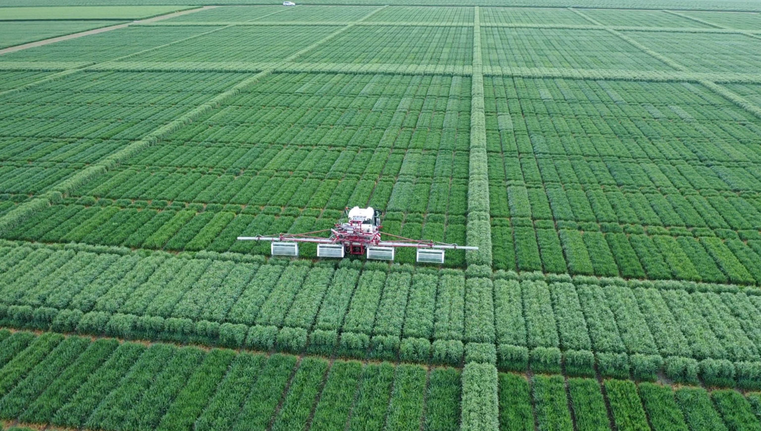 In the nursery of hybrid wheat, application of CROISOR® Pack